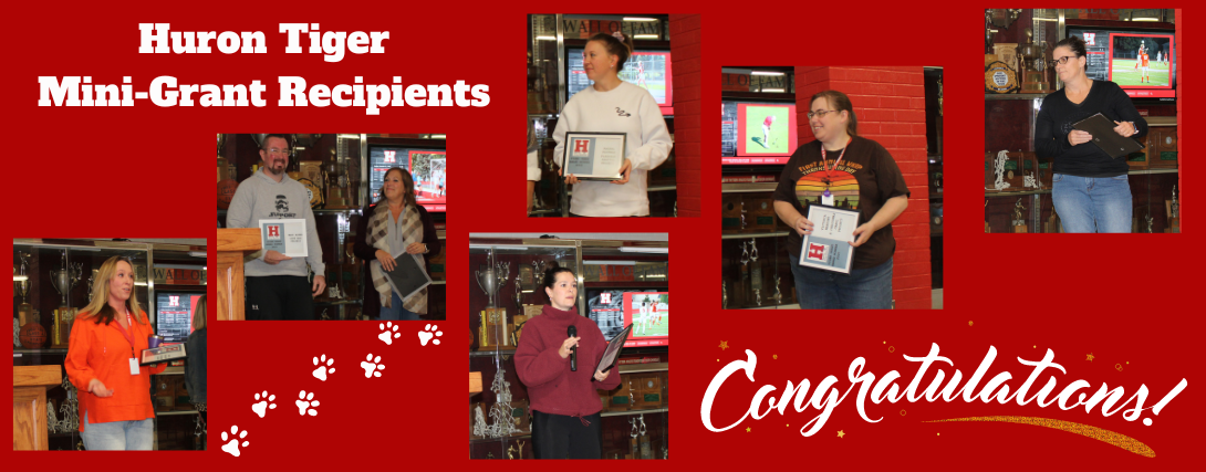 Tiger grant recipients
